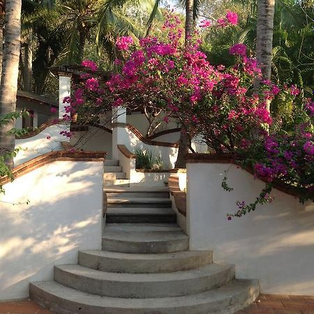 Hotel Casa Flor De Mar Zipolite Exteriér fotografie