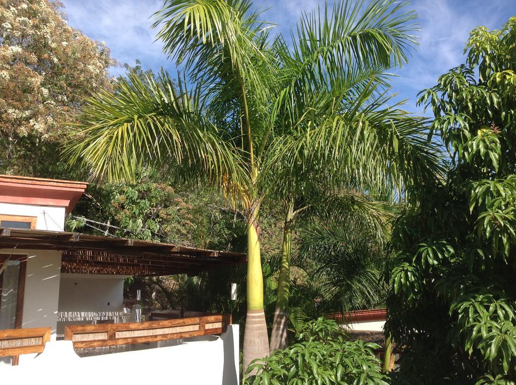 Hotel Casa Flor De Mar Zipolite Exteriér fotografie