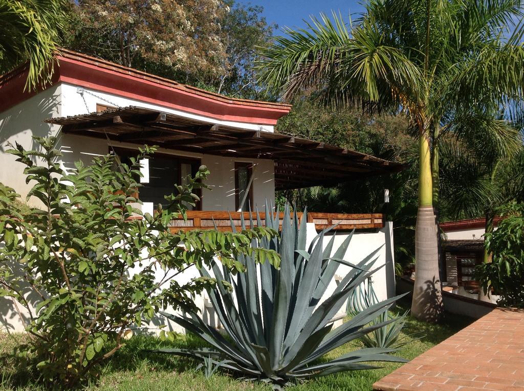 Hotel Casa Flor De Mar Zipolite Exteriér fotografie